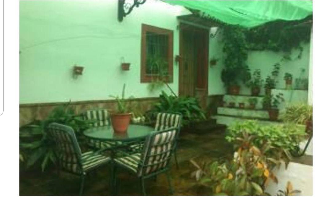 Apartamento En Cortijo Totalmente Reformado En Pleno Paraje Natural Junto Al Caminito Del Rey Y Los Sectores Mas Importantes De Escalada A Solo 2 Minutos De La Estacion De Tren Alora Exterior foto
